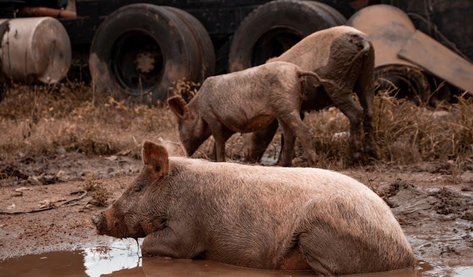 3 little pigs story pdf